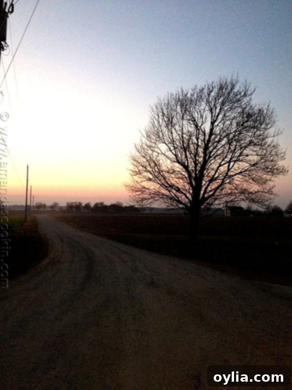 Beautiful sunset over the horizon