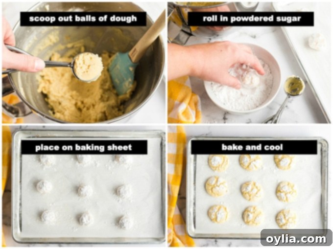 Hands rolling a ball of orange cookie dough in powdered sugar before baking to achieve the signature crinkle effect.