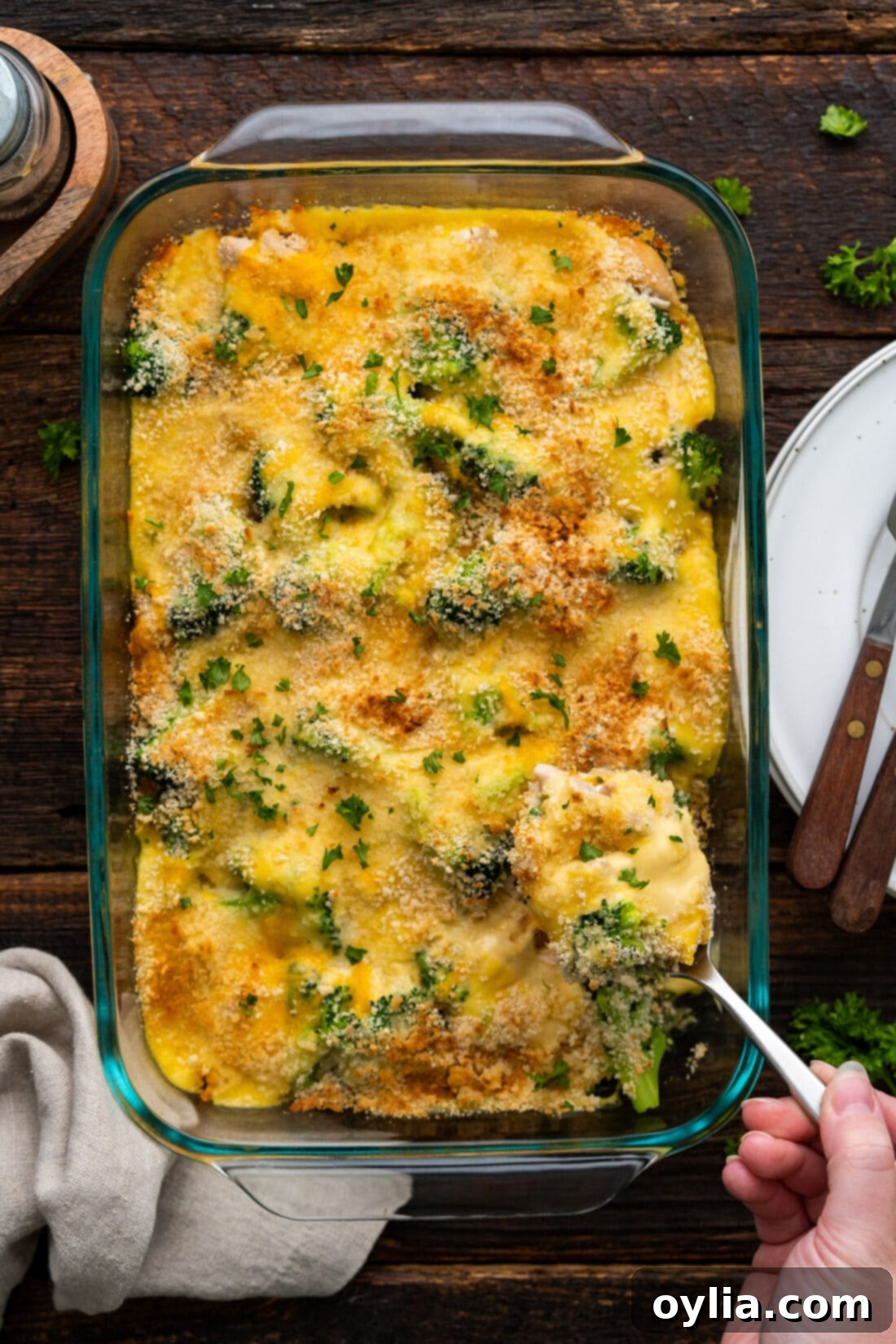 pan of Chicken Divan