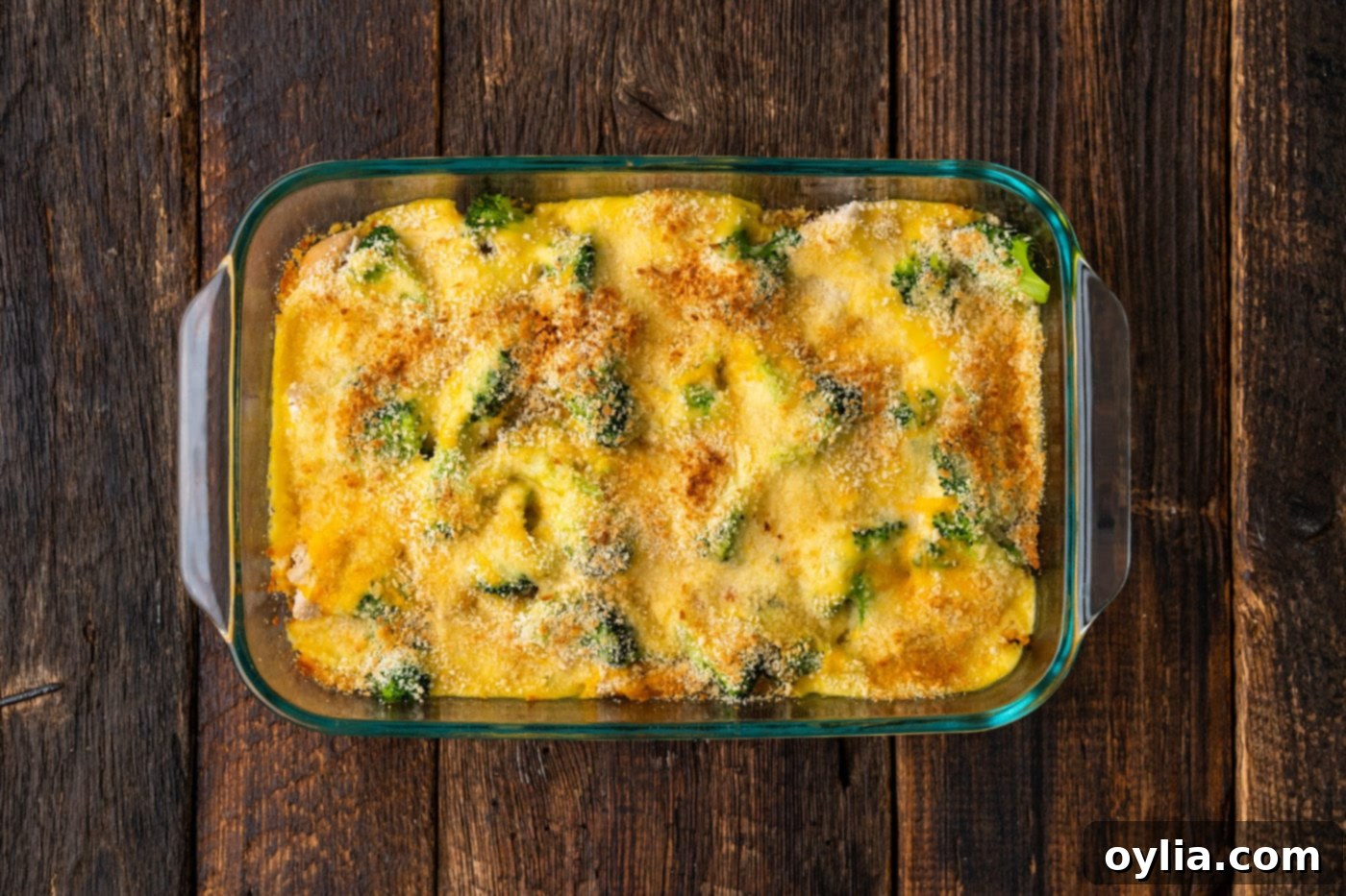 baked overhead shot of chicken divan casserole