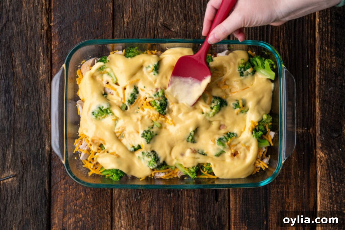 spatula spreading cream of chicken over broccoli, chicken, and cheese