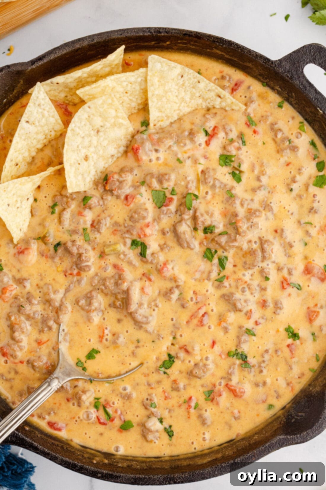 Creamy Chili Cheese Dip 2 A skillet filled with creamy, cheesy Rotel Dip, ready to be served