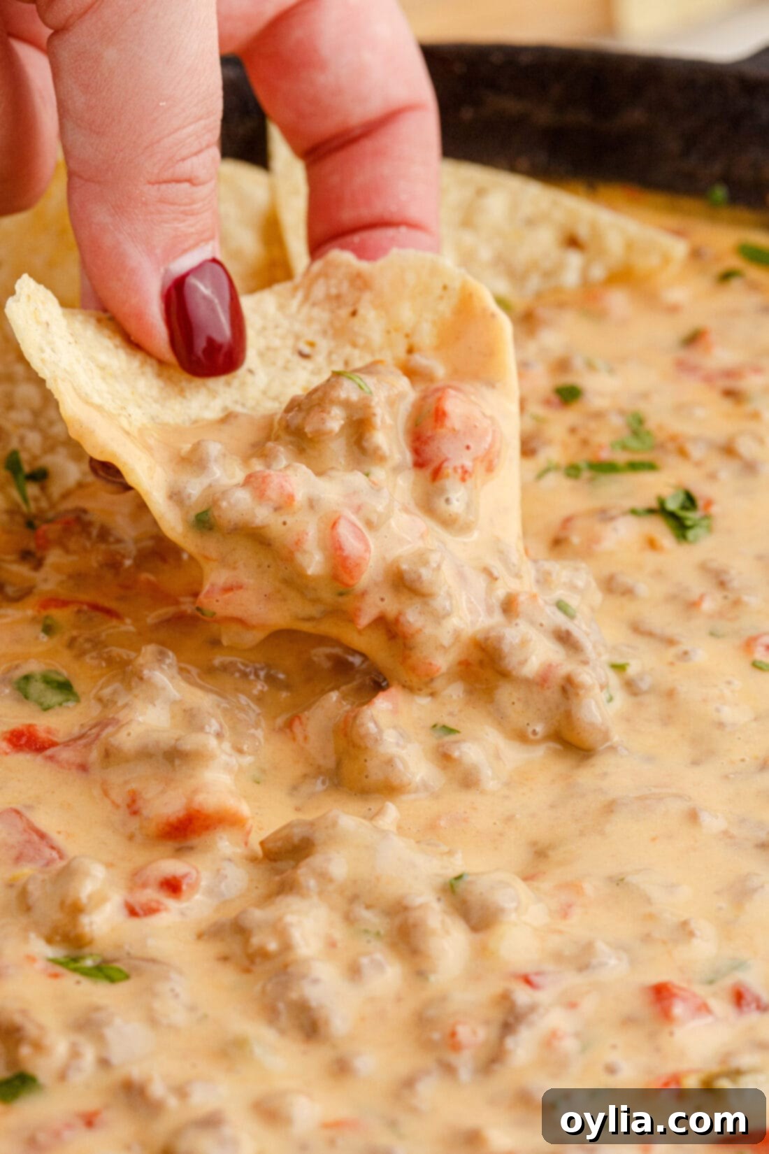 Creamy Chili Cheese Dip 3 A tortilla chip being dipped into a skillet of warm Rotel Dip, highlighting its creamy texture
