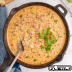 Creamy Chili Cheese Dip 8 Rotel Dip in a skillet
