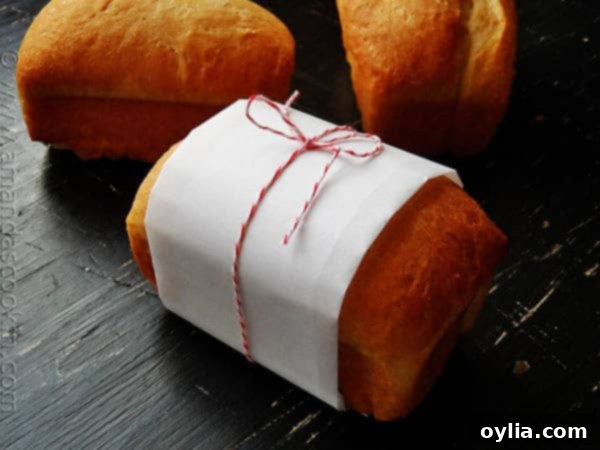 A charming photo of a wrapped Amish white bread mini loaf with baker's twine.