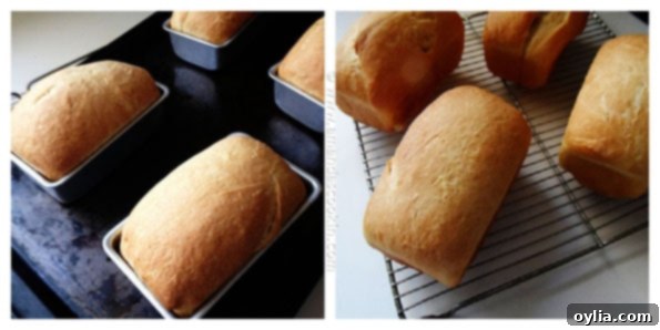 Freshly baked golden brown Amish white bread mini loaves cooling on a rack.