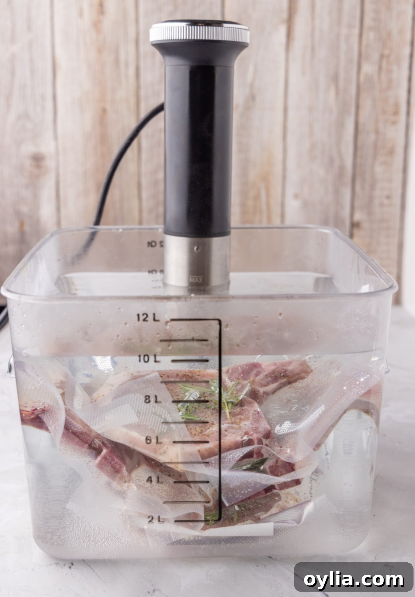 sous vide pork chops in water container