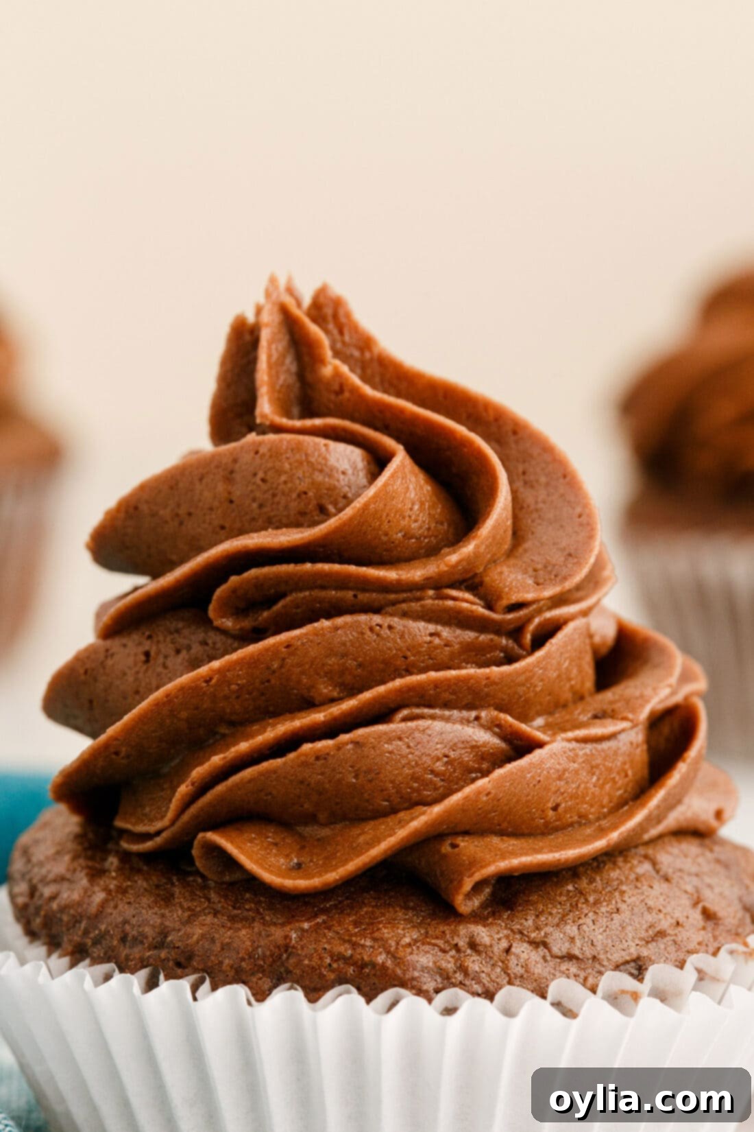 close up of Chocolate Buttercream Frosting on cupcake