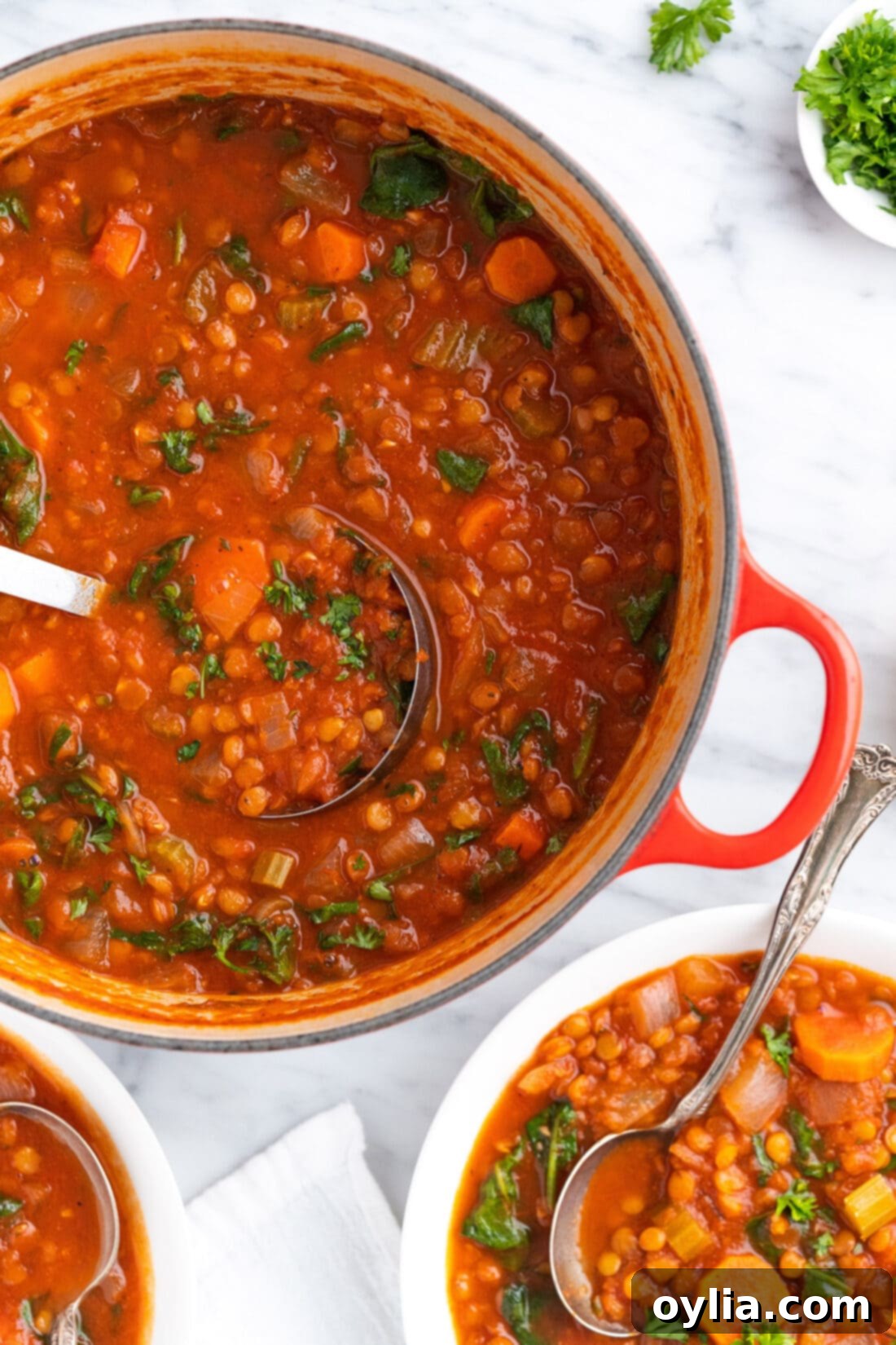 Hearty Lentil Comfort 12 pan of Lentil Soup
