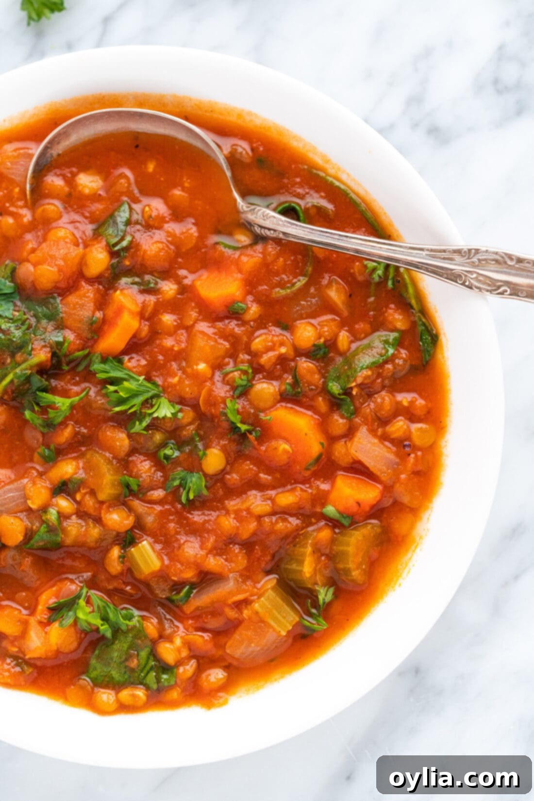 Hearty Lentil Comfort 3 bowl of Lentil Soup