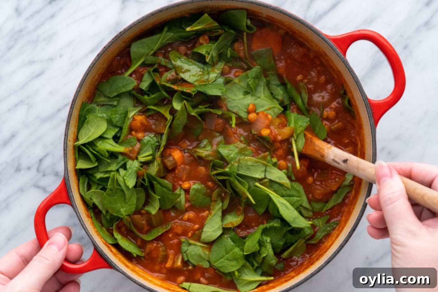 baby spinach in lentil soup