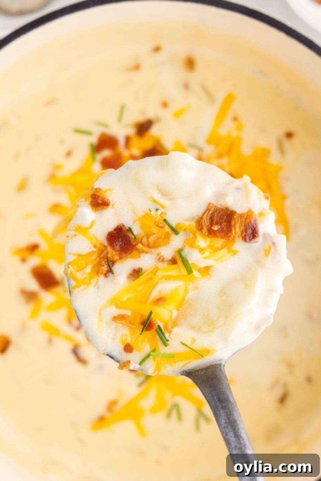 Loaded Baked Potato Soup 15 Ladle of Baked Potato Soup over a pot of Baked Potato Soup