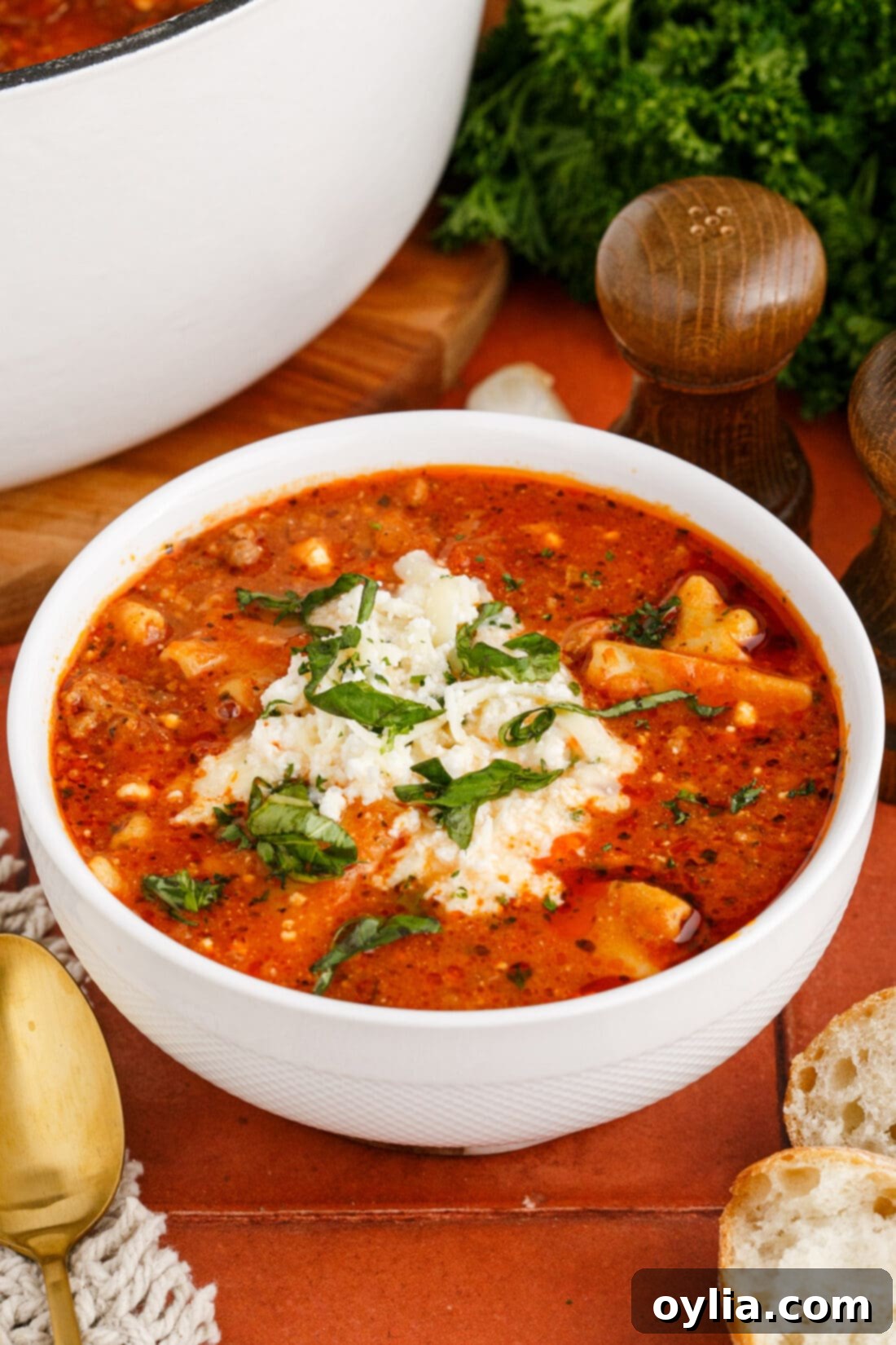 Bowl of Lasagna Soup