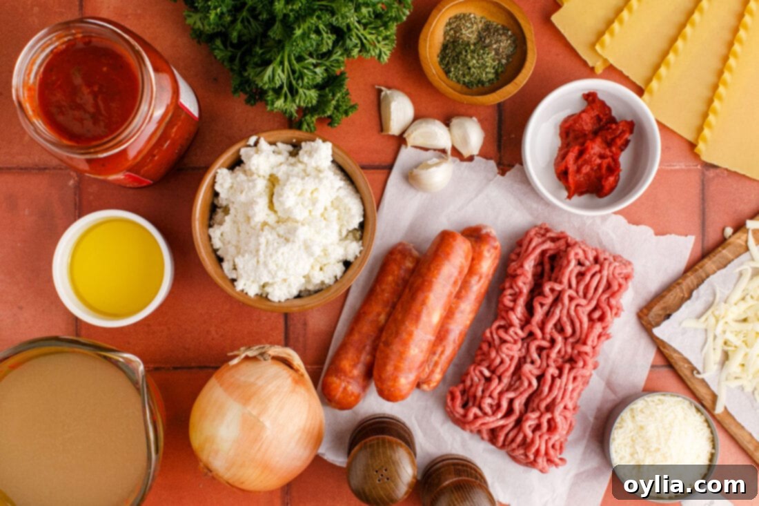 Ingredients for Lasagna Soup