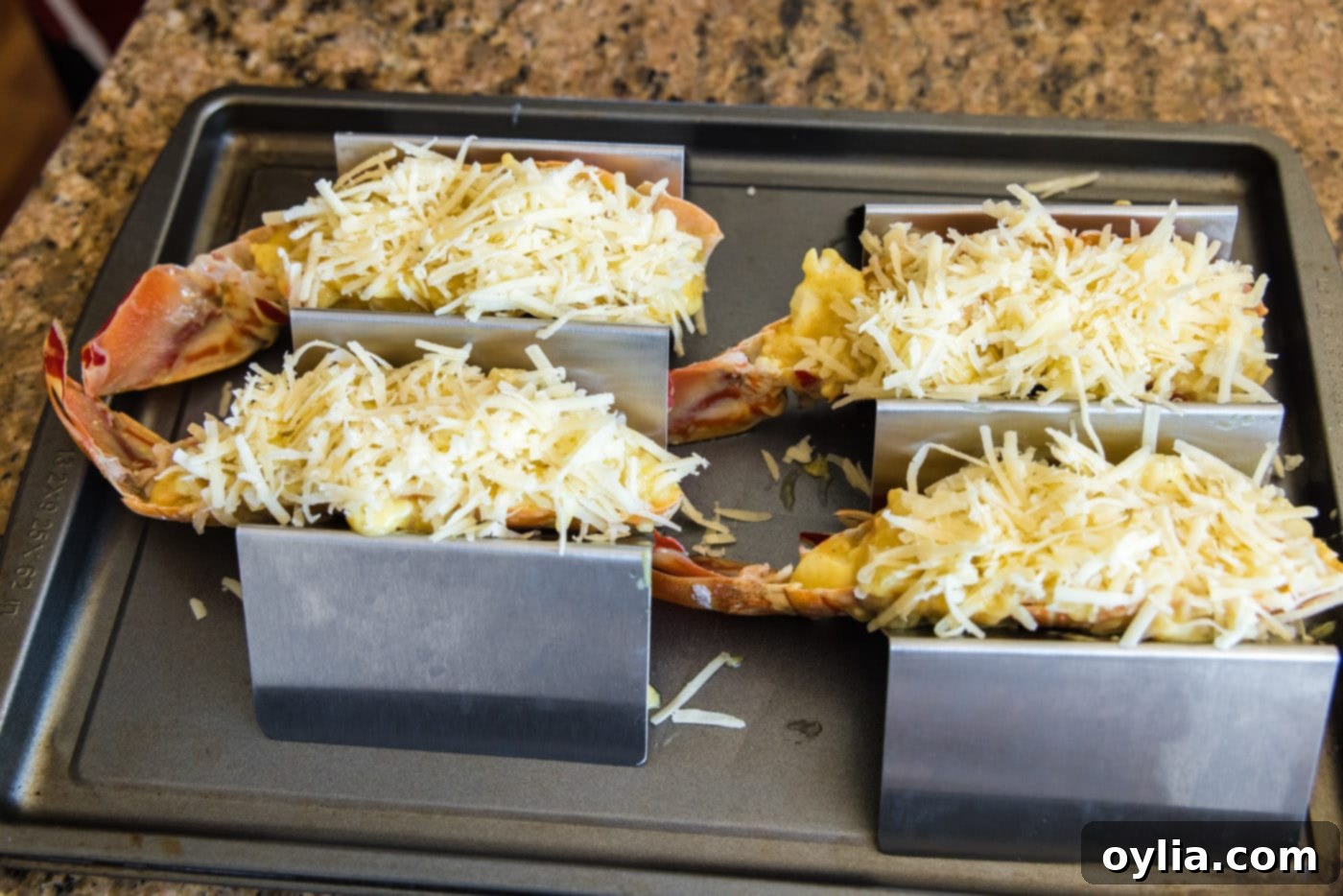 Lobster thermidor shells topped with a generous layer of shredded Gruyère cheese before broiling.