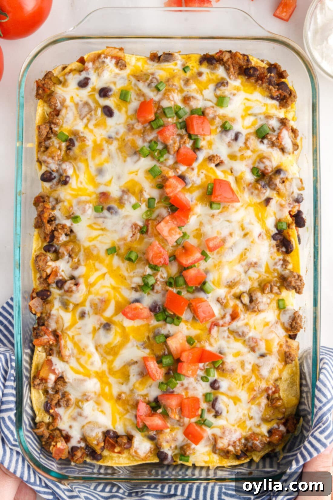 Enchilada Lasagna Bake 2 Pan of Mexican Lasagna
