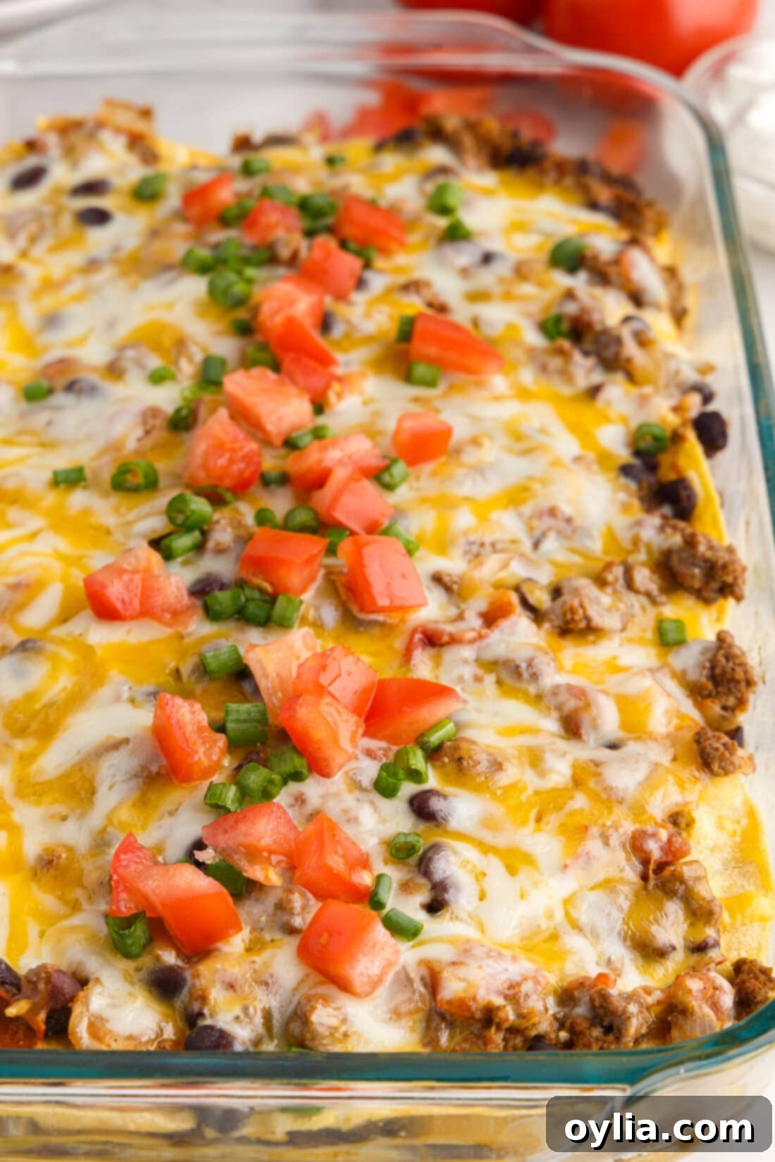 Enchilada Lasagna Bake 15 Close up of Mexican Lasagna in a pan