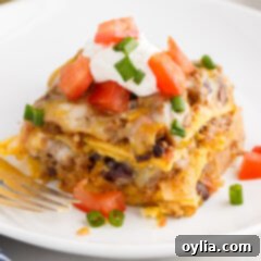Enchilada Lasagna Bake 16 Piece of Mexican Lasagna on a plate