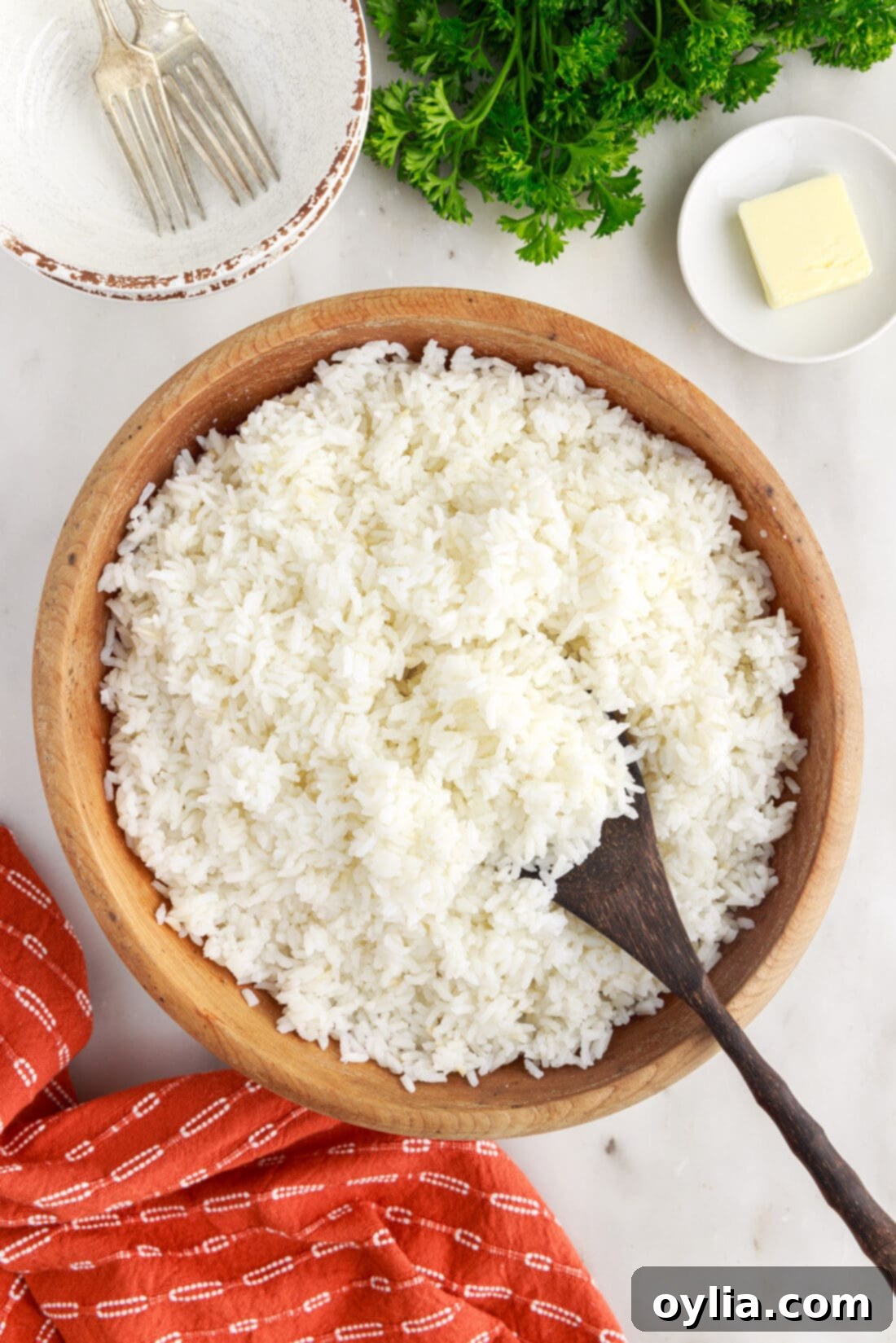 Bowl of white rice with a spoon, ready to serve