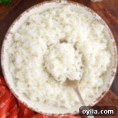 Overhead photo of a bowl of rice with a spoon