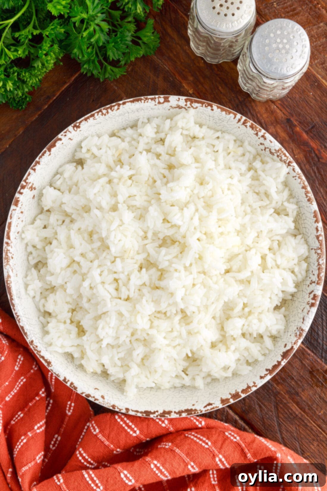 Bowl of freshly cooked white rice, perfectly fluffy