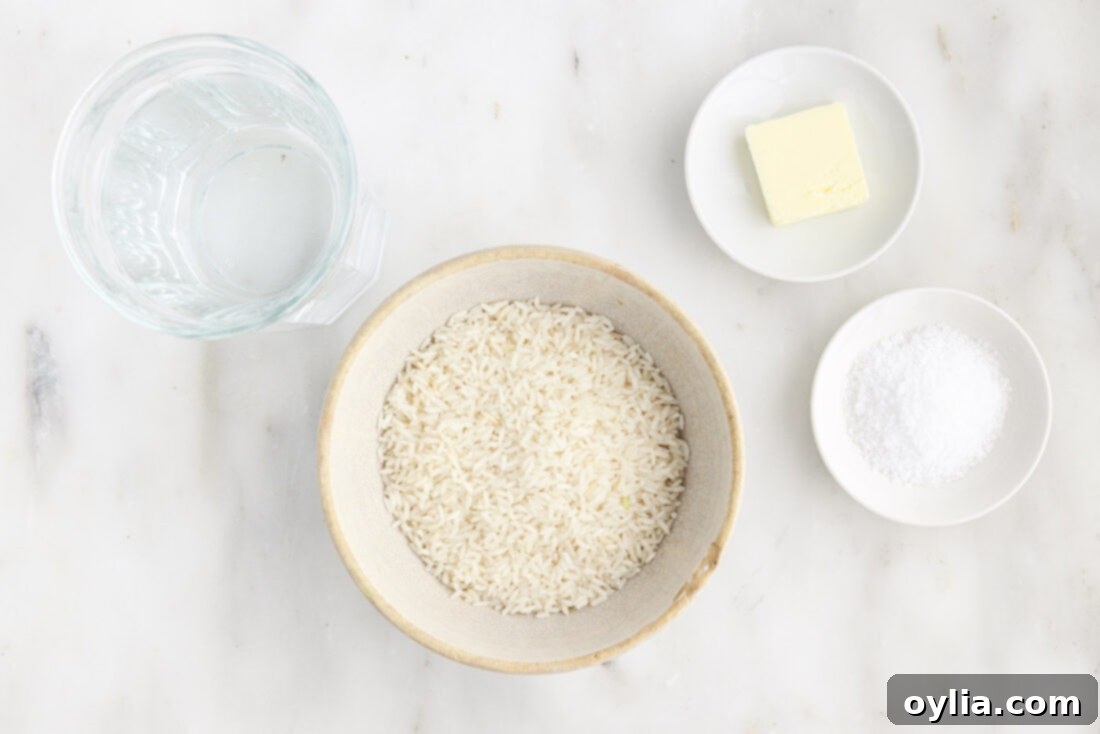 Ingredients for How to Make Rice: long grain white rice, water, salt, butter