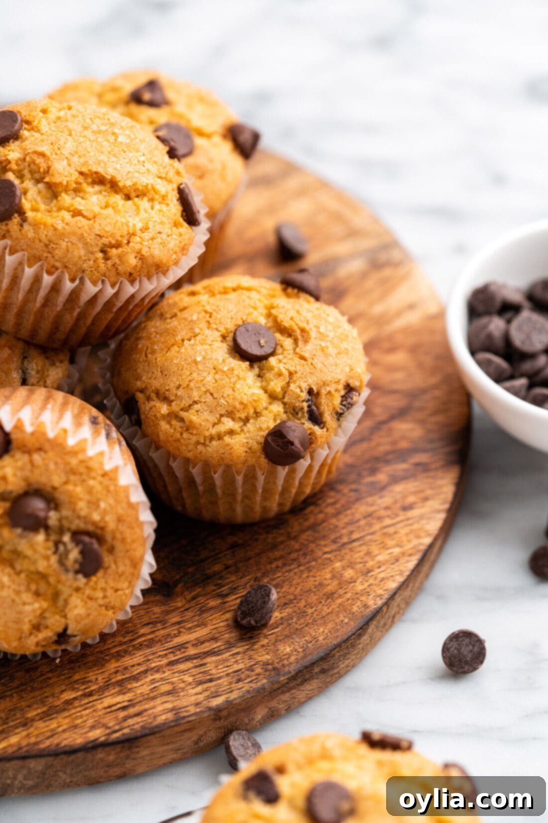 Irresistible Chocolate Chip Muffins 2 Chocolate Chip Muffins on a wooden platter, showcasing their soft texture and abundant chocolate chips.