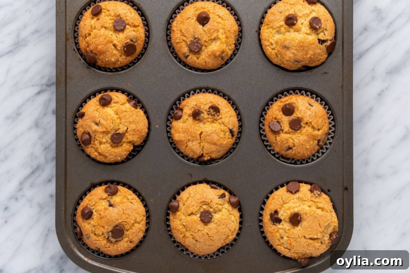 Freshly baked chocolate chip muffins in a pan, golden brown and perfectly risen.