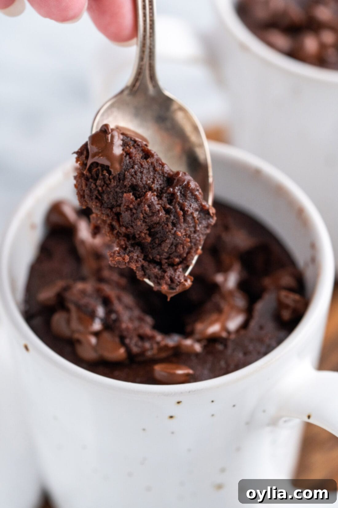 Cozy Mug Brownie 2 Spoonful of Brownie in a Mug