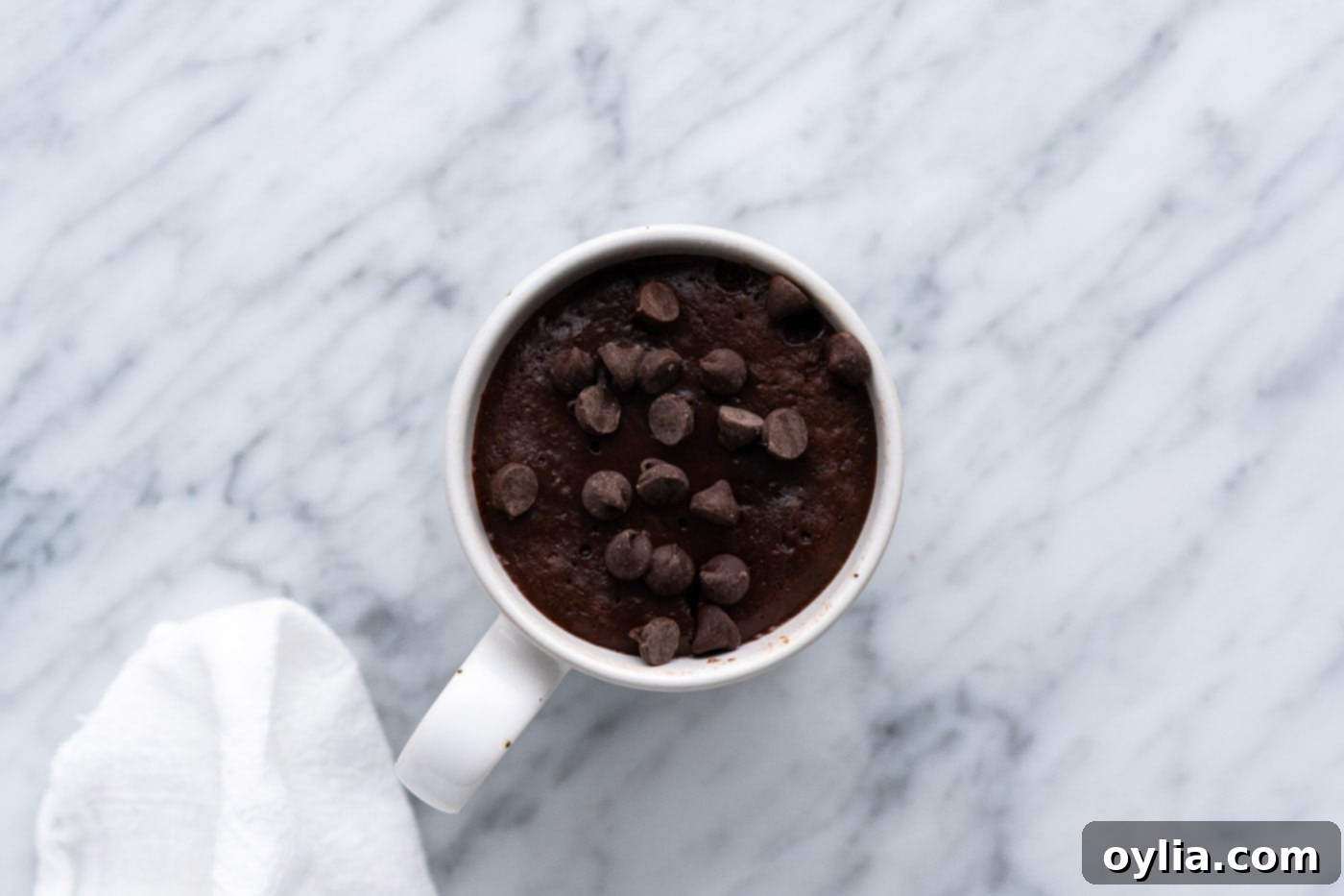 brownie in a mug with chocolate chips