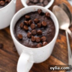 Cozy Mug Brownie 10 Close up of a Brownie in a Mug