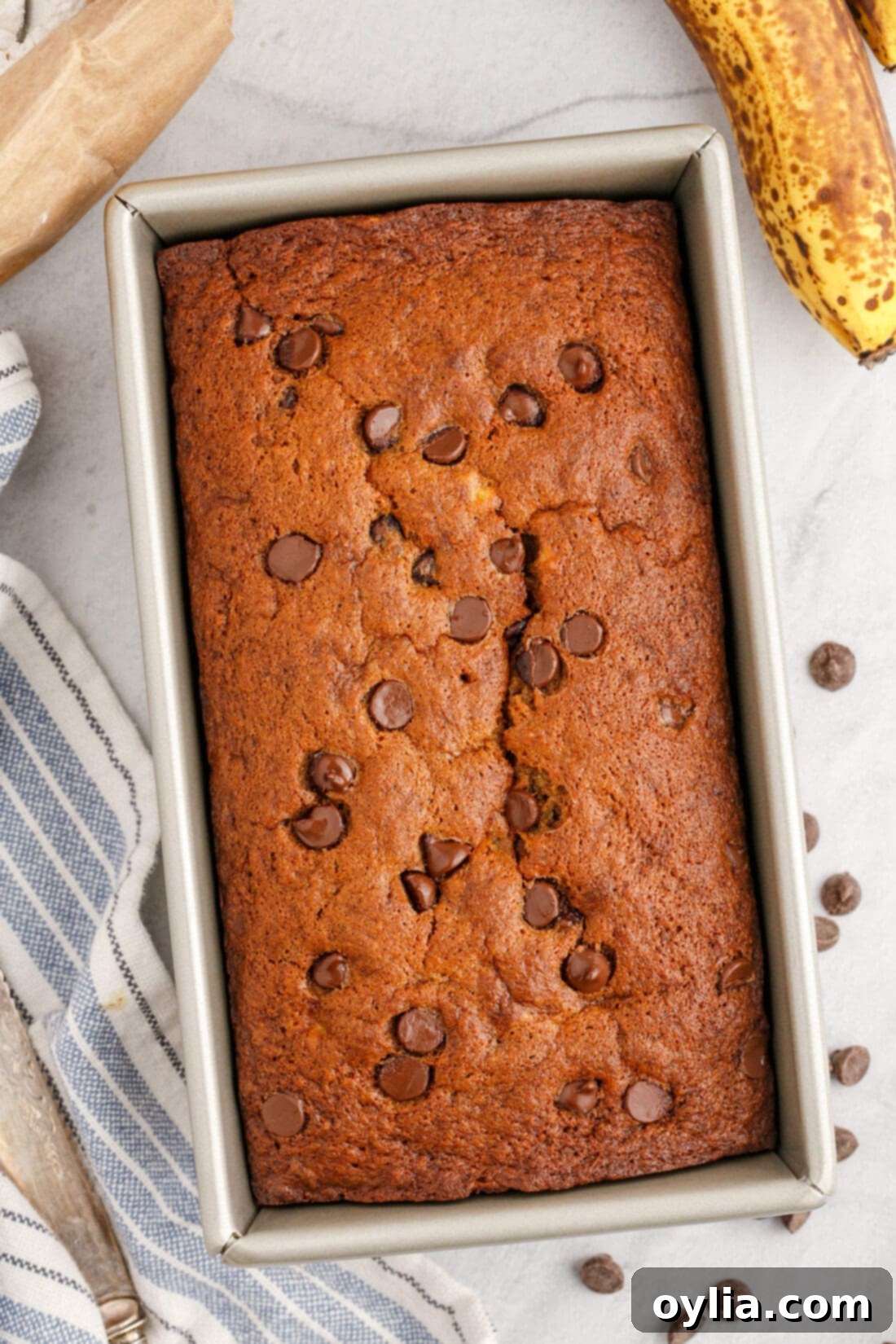 Loaf of Chocolate Chip Banana Bread