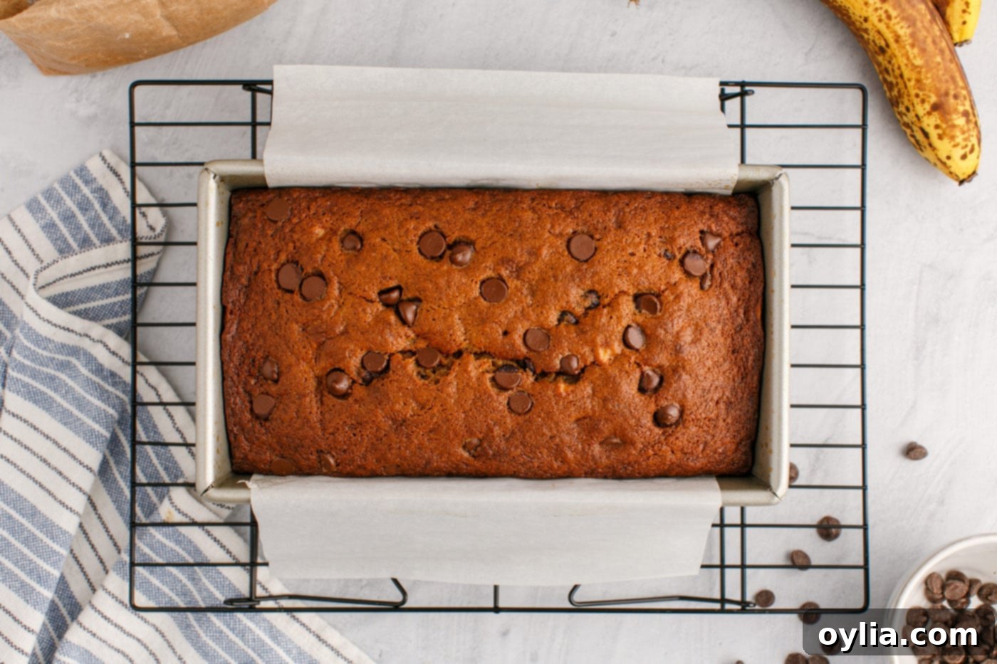 baked chocolate chip banana bread on a wire cooling rack