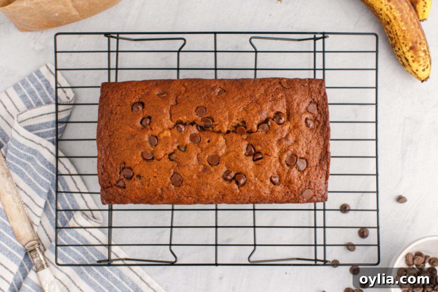 banana bread with chocolate chips on a wire cooling rack