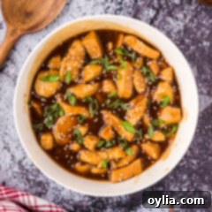 Sticky Teriyaki Chicken 13 Bowl of Teriyaki Chicken