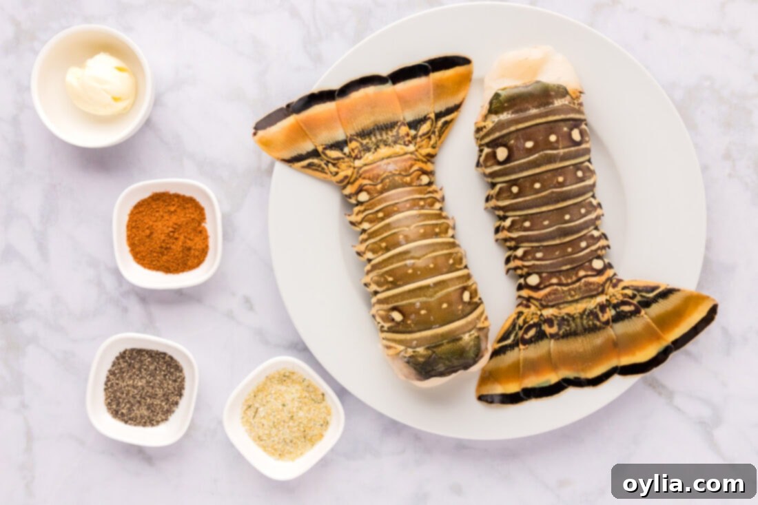 A flat lay photograph of all the ingredients needed for grilling lobster tails, including lobster, butter, and seasonings.