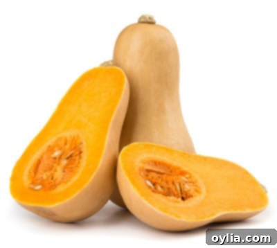 A single butternut squash with its characteristic elongated neck and bulbous base, isolated on a white background.