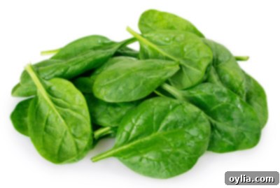 Fresh spinach leaves on a white background, highlighting its crisp texture and vibrant green color.