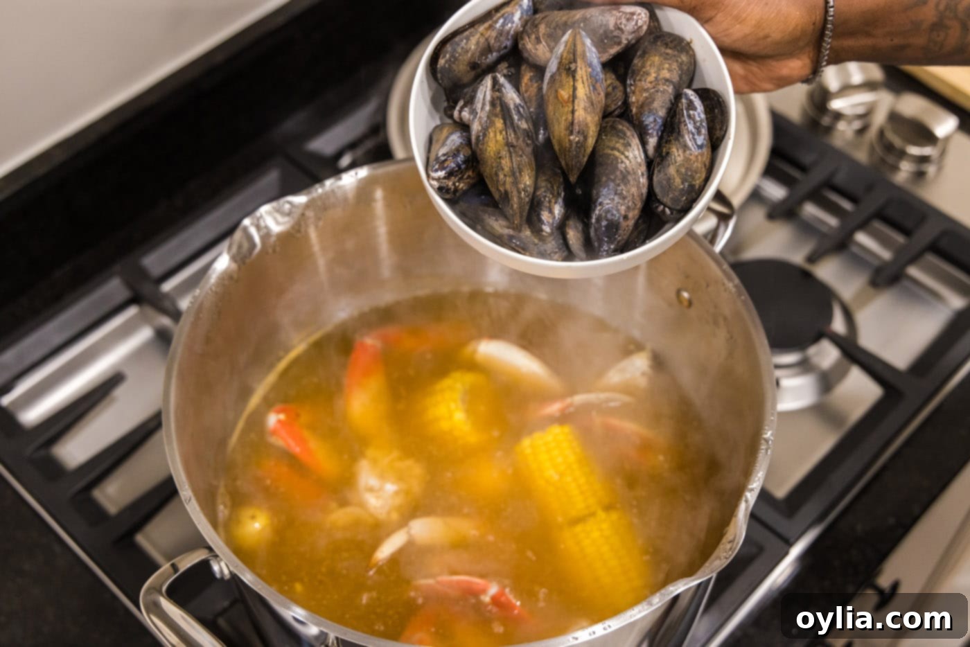 adding mussels to pot with seafood boil
