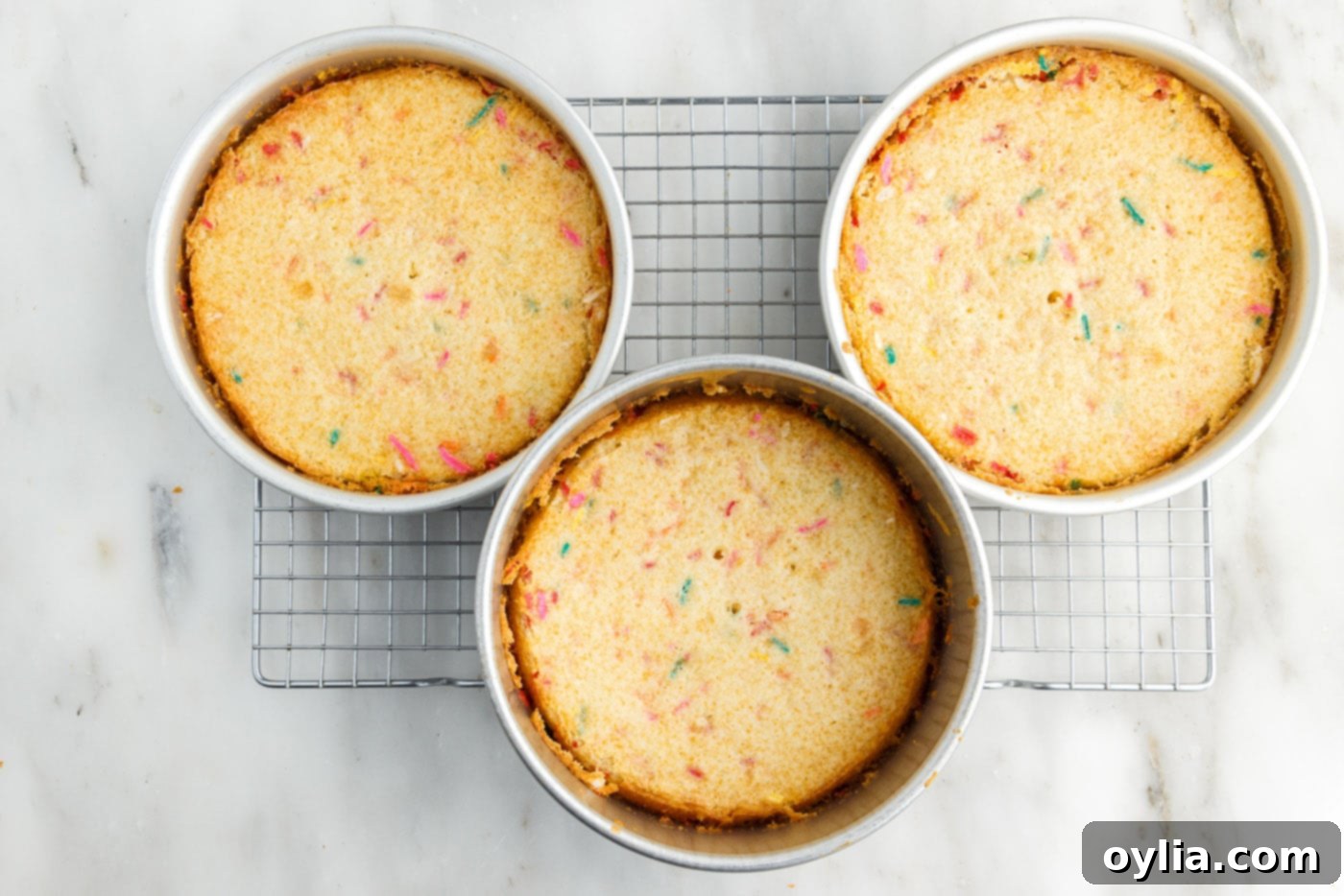 baked funfetti cake layers