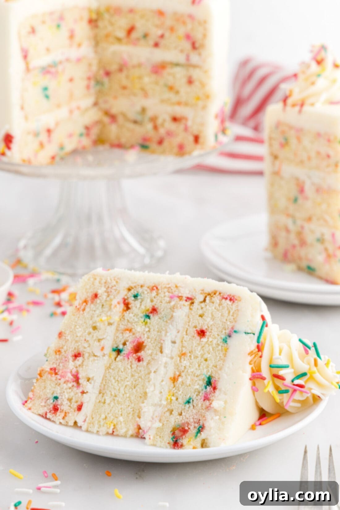Confetti Celebration Cake 3 Slice of Funfetti Cake on a plate