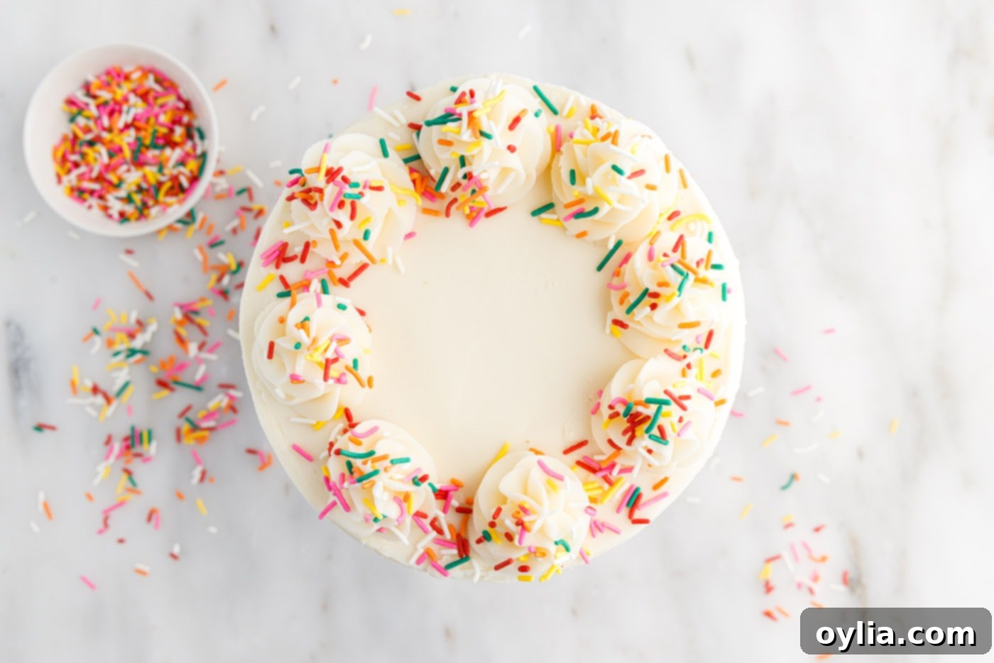 funfetti cake with piped frosting and sprinkles