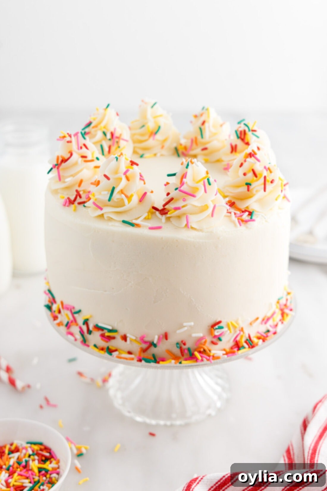 Confetti Celebration Cake 22 Funfetti Cake on a cake stand
