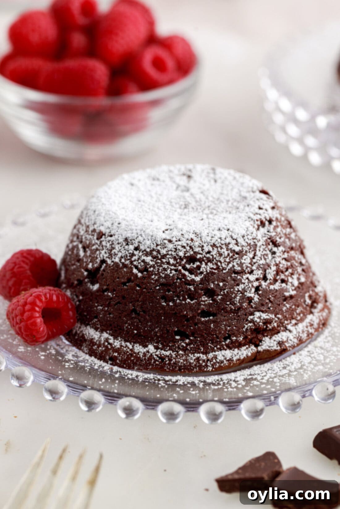 Molten Chocolate Delight 19 Lava Cake on a plate with raspberries topped with powdered sugar and ready to be enjoyed