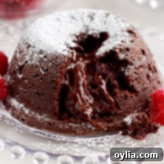 Molten Chocolate Delight 20 Lava Cake on a plate topped with powdered sugar with a bite taken out