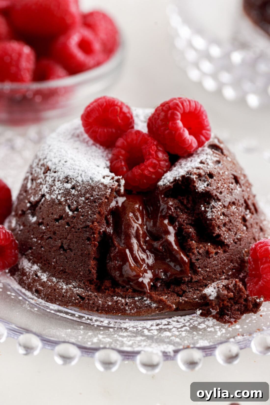 Molten Chocolate Delight 3 Lava Cake on a plate topped with powdered sugar and raspberries