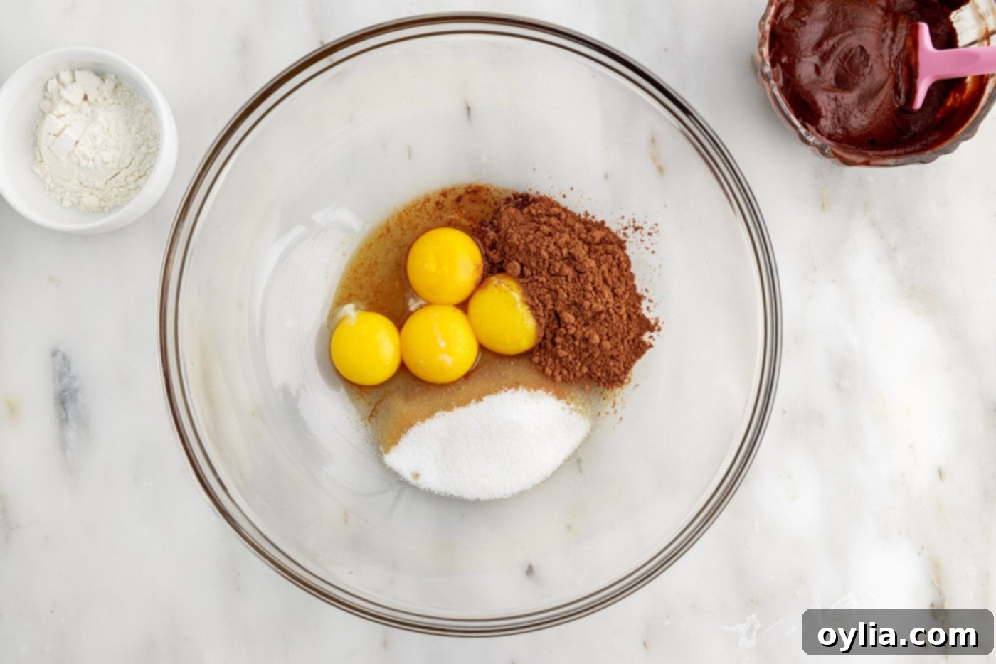 Molten Chocolate Delight 9 eggs, cocoa powder, vanilla, and sugar in a bowl before mixing