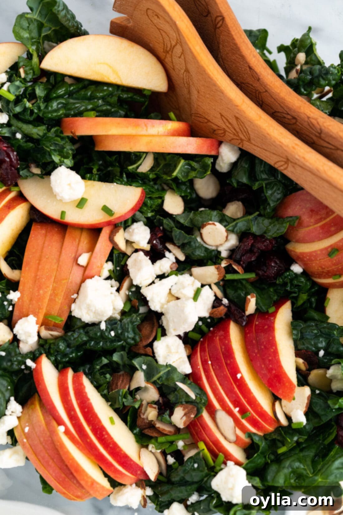 Close up of a vibrant Kale Salad with apples, craisins, almonds, and feta