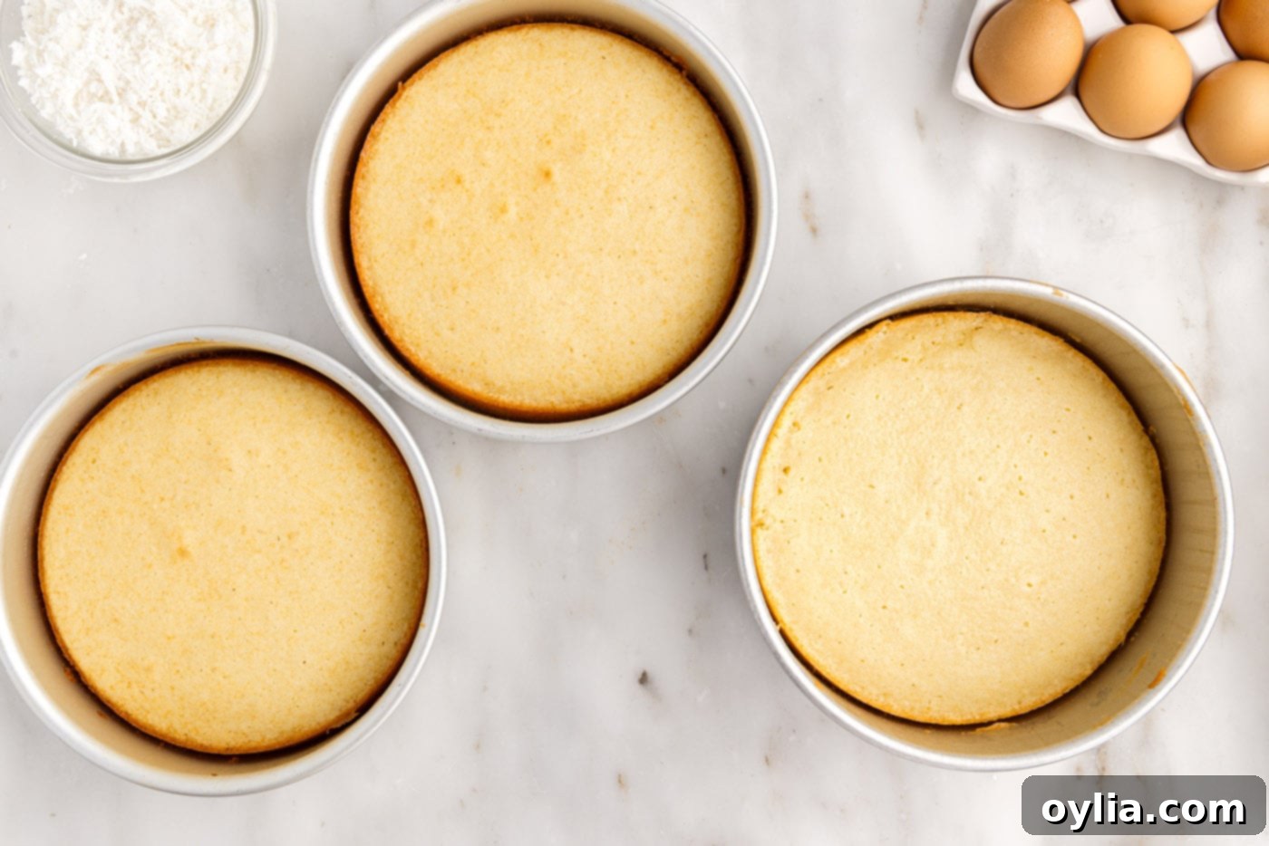 baked coconut cakes in round pans