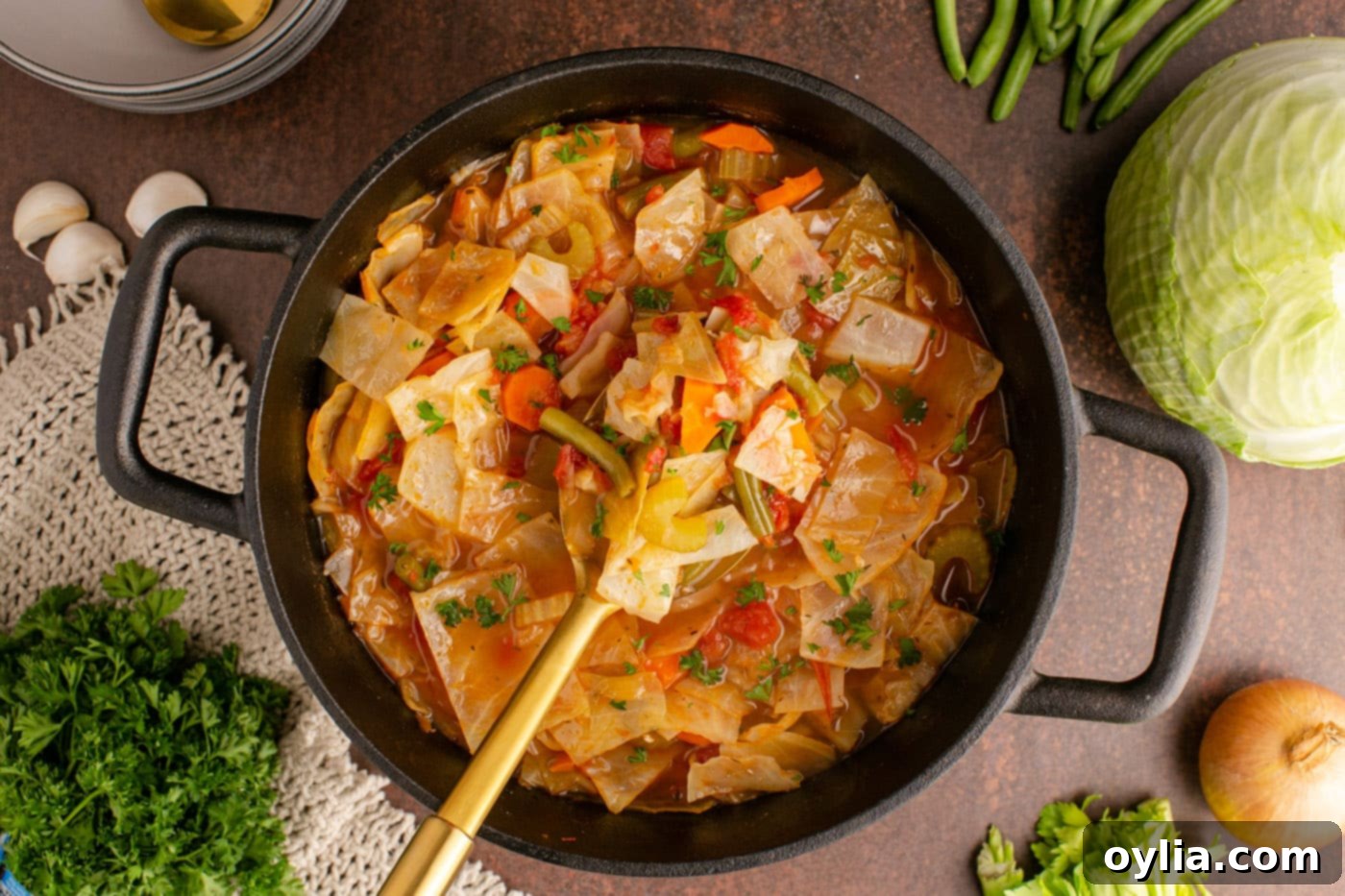 A close-up shot of a spoon in a pot of freshly cooked cabbage soup, highlighting its rich color and tender vegetables.